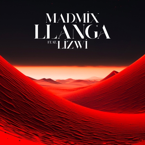 Lizwi & Madmix - Llanga [PPP032024]